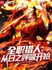 《全职猎人：从日之呼吸开始》小说封面