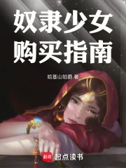 《奴隶少女购买指南》小说封面