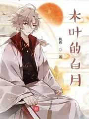 《木叶的白月》小说封面