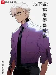《地下城:我老婆是玩家》小说封面