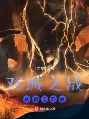 《双城之战:从祖安开始》小说封面