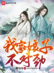 《我家娘子，不对劲》小说封面