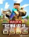 《我的世界:荒野求生!》小说封面