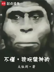 《不懂，我玩猿神的》小说封面