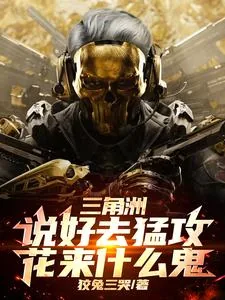 《三角洲：说好去猛攻，花来什么鬼》小说封面