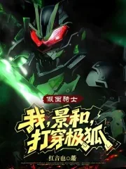 《假面骑士:我,景和,打穿极狐》小说封面