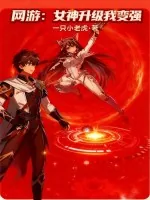 《网游:女神升级我变强》小说封面