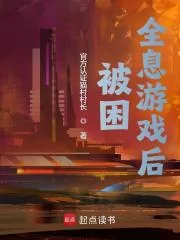 《被困全息游戏后》小说封面