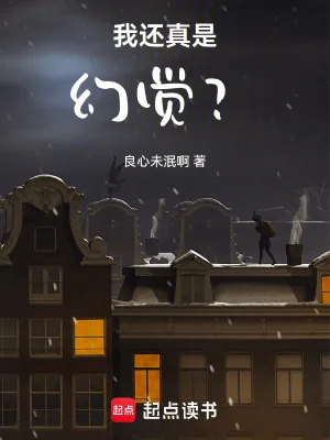 《我还真是幻觉?》小说封面