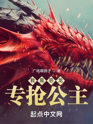 《我是恶龙,专抢公主》小说封面
