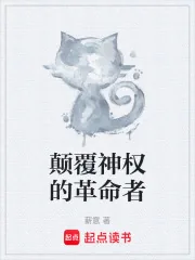 《颠覆神权的革命者》小说封面