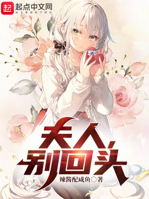 《夫人,别回头》小说封面