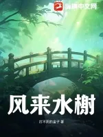 《风来水榭》小说封面