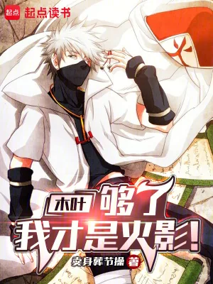 《木叶:够了,我才是火影!》小说封面