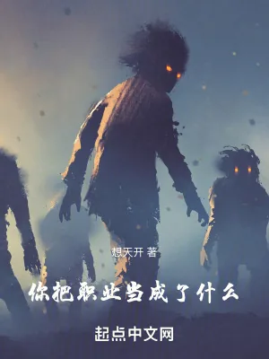 《你把职业当成了什么!》小说封面