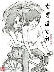 《老婆请安分》小说封面