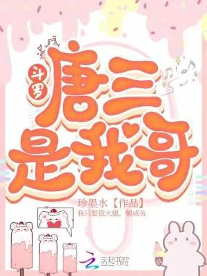 《斗罗:唐三是我哥》小说封面