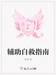 《辅助自救指南》小说封面
