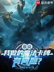 《谁说我做的魔法卡牌有问题?》小说封面
