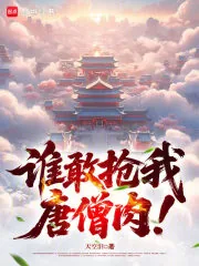 《谁敢抢我唐僧肉!》小说封面