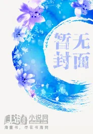 《网游之超越极限》小说封面
