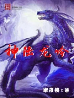 《神陆龙吟》小说封面
