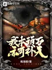 《我本顽石,亦可补天!》小说封面