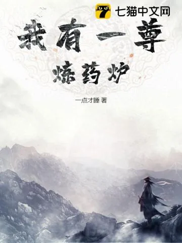 《我有一尊炼药炉》小说封面