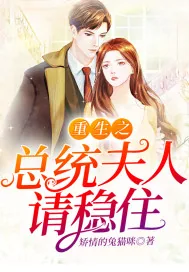 《重生之总统夫人请稳住》小说封面