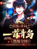 《娱乐：开局一首青鸟，燃爆全网！》小说封面
