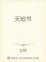 《天地书》小说封面