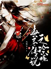 《无尽传说之玲珑》小说封面
