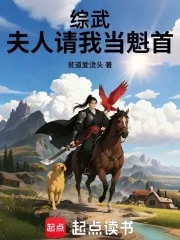 《综武：夫人请我当魁首》小说封面