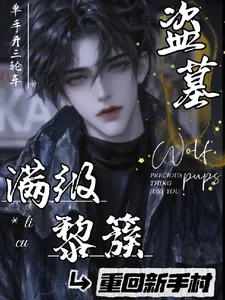 《盗墓:满级黎簇重回新手村》小说封面