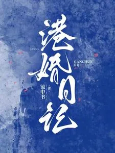 《港婚日记》小说封面