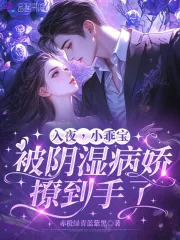《入夜,小乖宝被阴湿病娇撩到手了》小说封面
