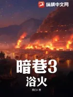 《暗巷3：浴火》小说封面