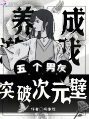 《养成游戏，五个男友突破次元壁》小说封面