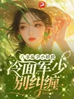 《八零易孕小娇软，冷面军少别纠缠》小说封面