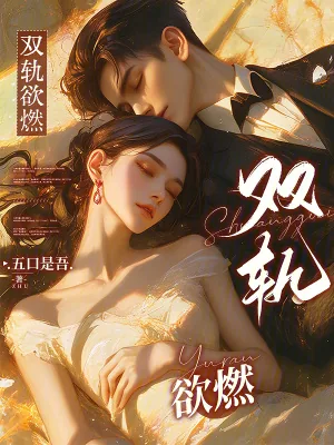 《双轨欲燃》小说封面