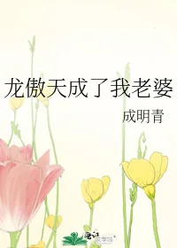 《龙傲天成了我老婆》小说封面