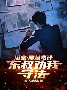 《塔寨:屡献毒计,东叔劝我守法!》小说封面
