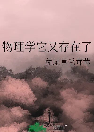 《物理学它又存在了》小说封面