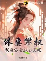 《休妻攀权?我废你全族当王妃!》小说封面