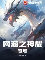 《网游之神耀苍穹》小说封面