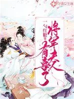 《将军夫人有喜了》小说封面