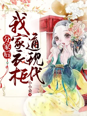 《分家后,我家衣柜通现代》小说封面