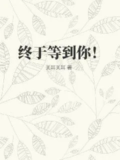 《终于等到你!》小说封面