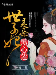 《世子妃她是朵黑心莲》小说封面