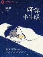 《许你半生暖》小说封面